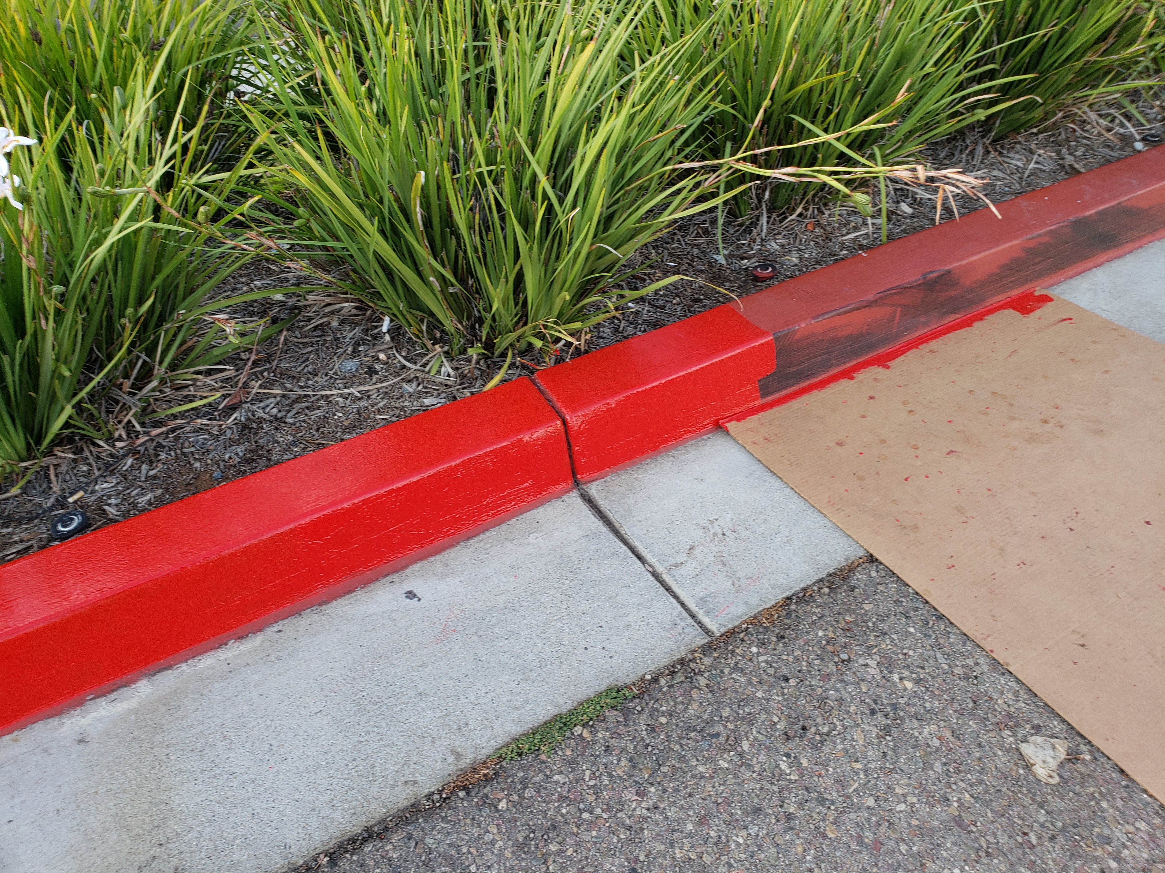 20190723 192507 - Curb Painting Services San Diego